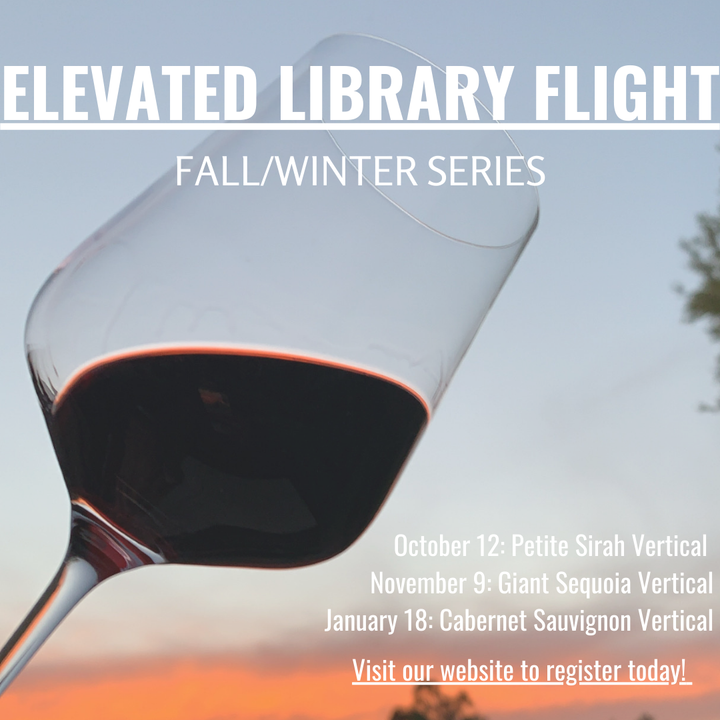 Elevated Library Flight - Fall/Winter Series