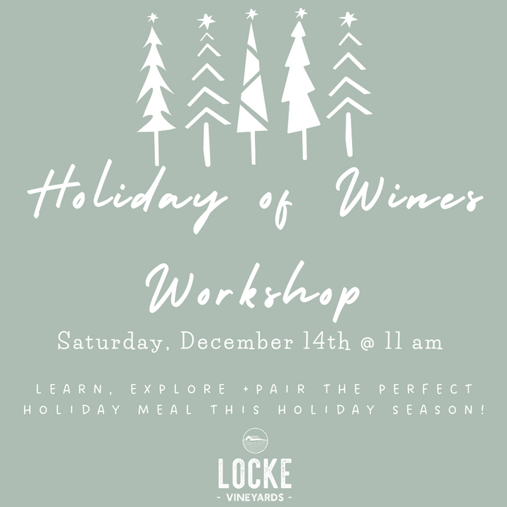 Holiday of Wines Workshop: Saturday, December 14th