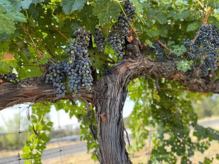 Tasting Flight May 22- June 30