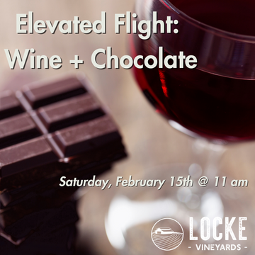 Elevated Flight: Wine + Chocolate (2/15/25)