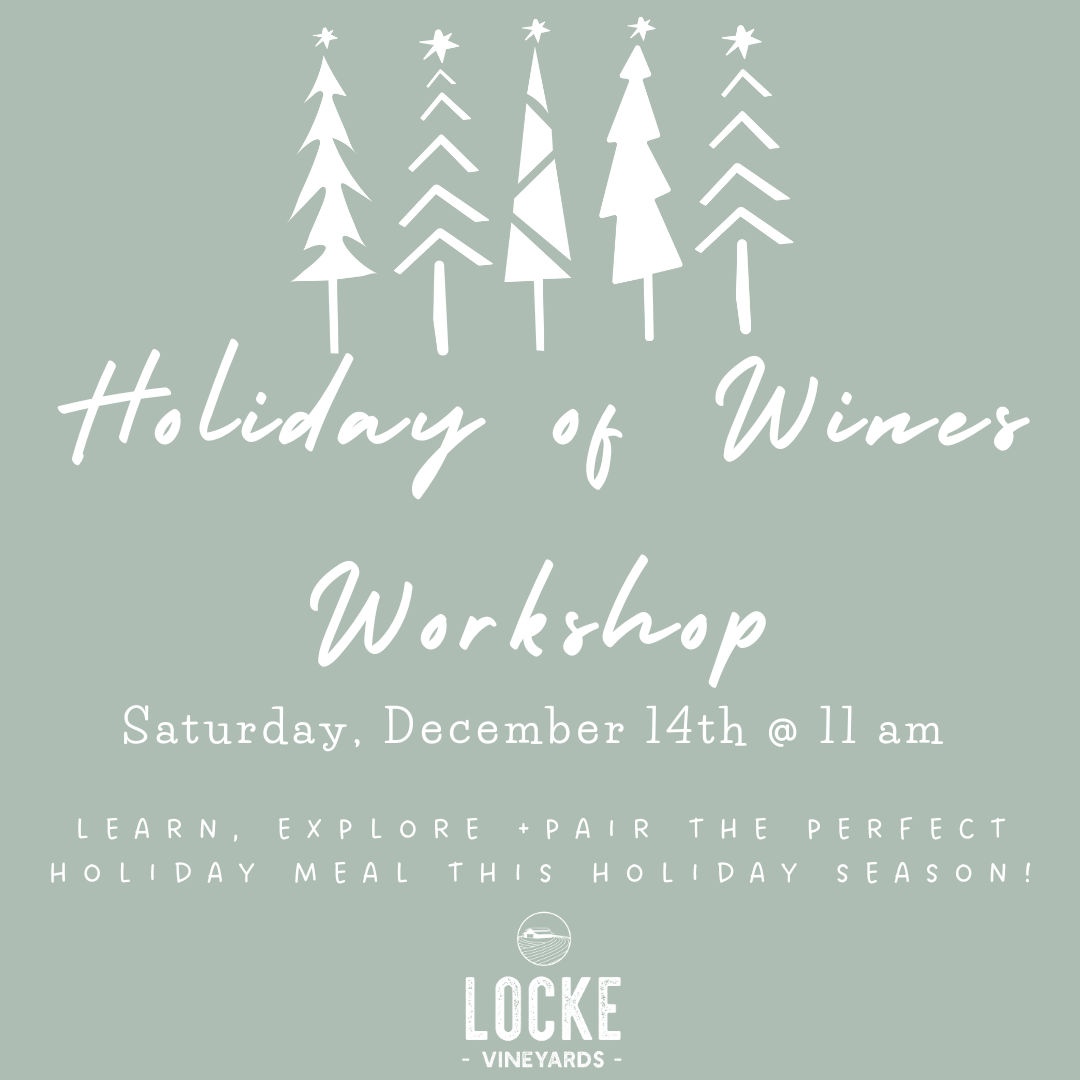 Holiday of Wines Workshop 12/14/24