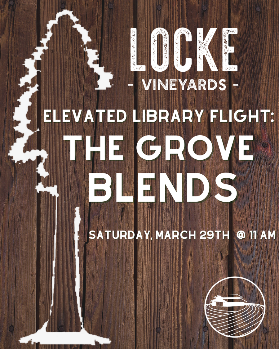 Elevated Library Flight: The Grove Blends 3/29/25